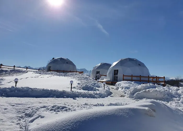 Glamping Pasieka Namiot Glamp Bukowina Tatrzanska - Domki W Gorach
