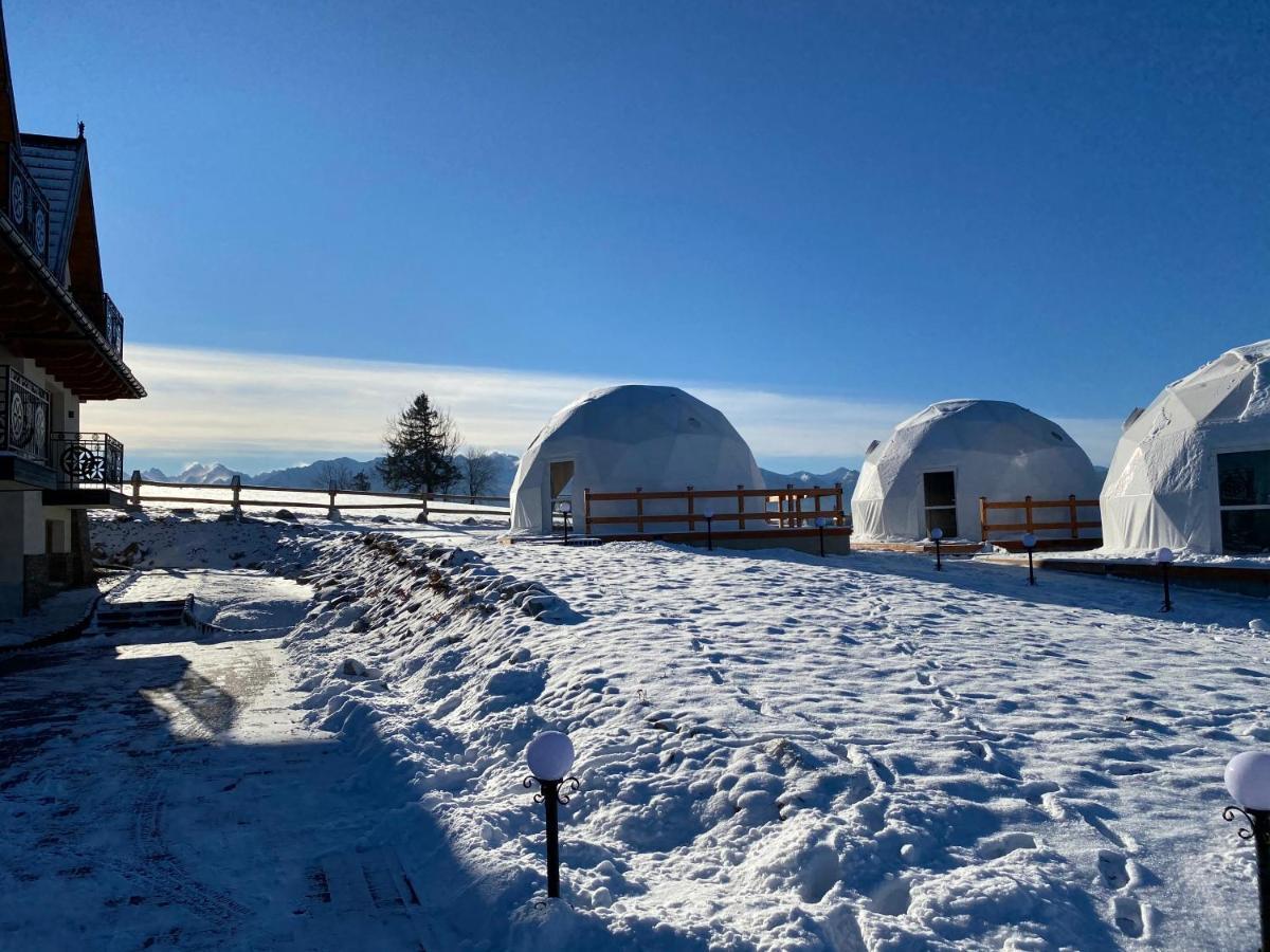 Glamping Glamping Pasieka Namiot Glamp Bukowina Tatrzanska - W Gorach *