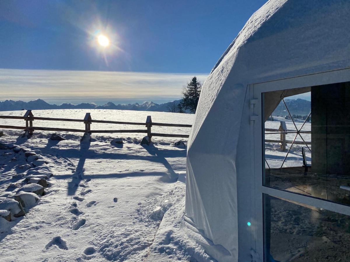 Luxury tent Glamping Pasieka Namiot Glamp Bukowina Tatrzanska - W Gorach Gron