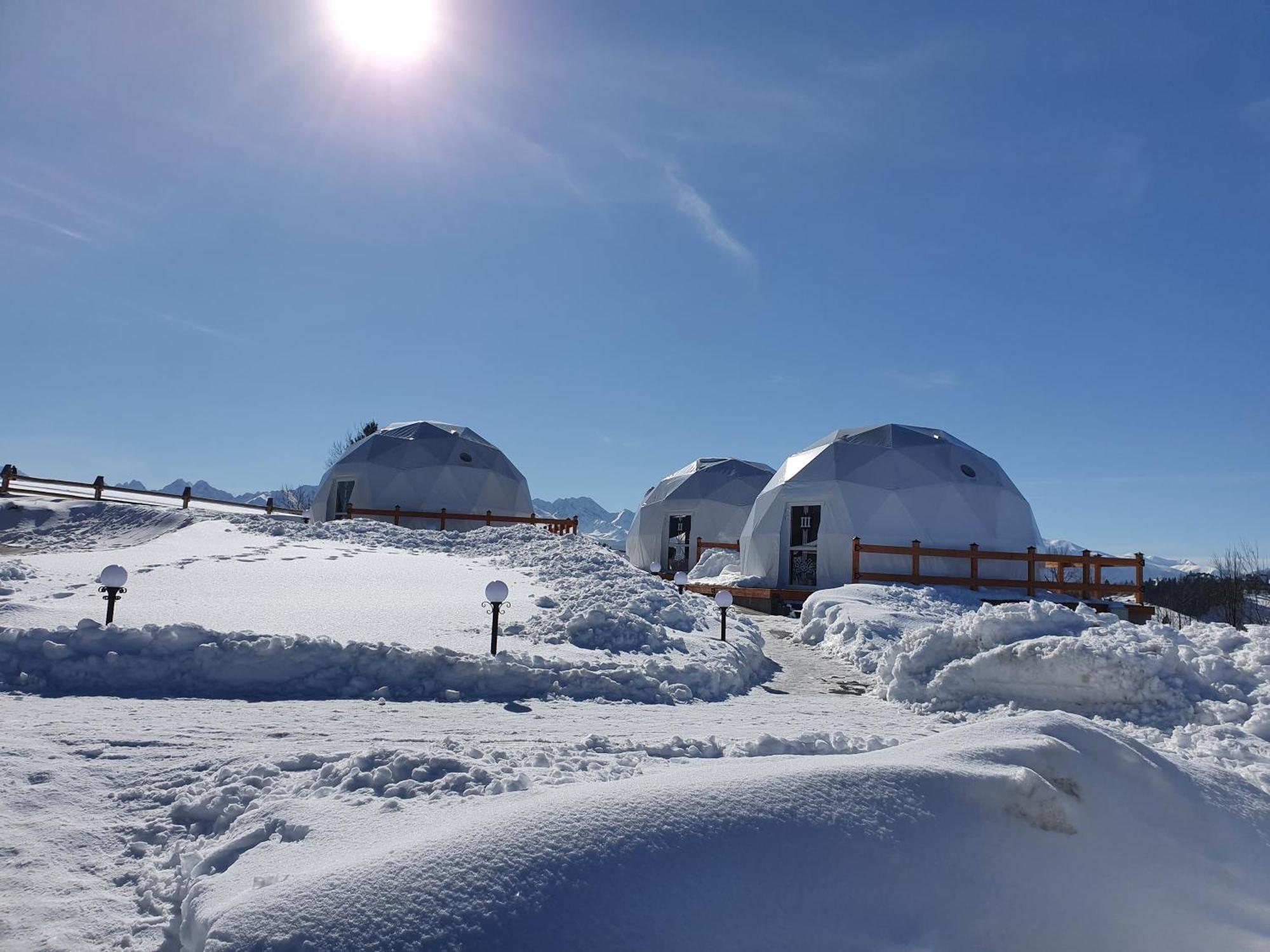 Luxury tent Glamping Pasieka Namiot Glamp Bukowina Tatrzanska - W Gorach