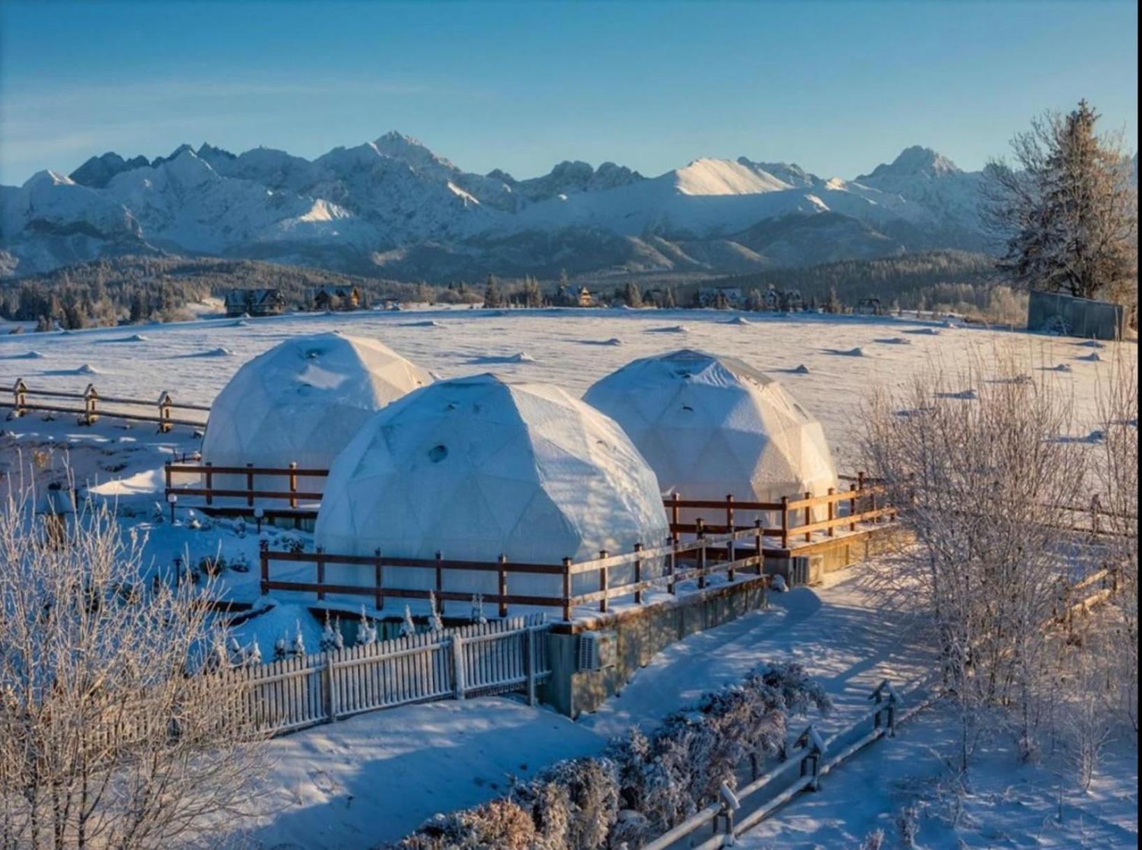 Glamping Pasieka Namiot Glamp Bukowina Tatrzanska - W Gorach * Groń